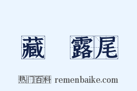 藏頭露尾是什么意思的图片